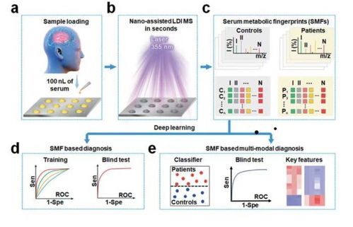腦卒中快速診斷的革命性突破 中國學(xué)者引領(lǐng)的計(jì)算機(jī)輔助軟硬件研發(fā)新紀(jì)元